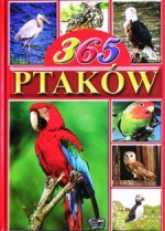 365 ptaków