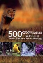 500 cudów natury w Polsce, które warto w życiu zobaczyć