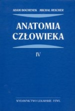 Anatomia człowieka. Tom 4