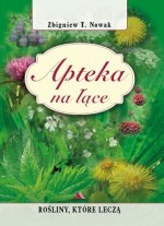 Apteka na łące. Rośliny, które leczą