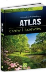 Atlas drzew i krzewów. Naturalnie kieszonkowy