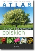 Atlas drzew i krzewów polskich