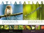 Atlas owadów i ptaków polskich. PAKIET