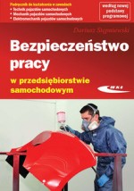 BEZPIECZEŃSTWO PRACY W PRZED.SAMOCHODOWY WKIŁ  9788320619263