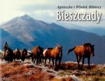 Bieszczady