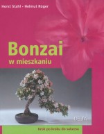 Bonzai w mieszkaniu