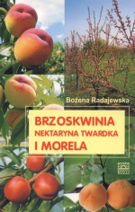 Brzoskwinia, nektaryna twardka i morela