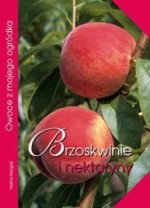 BRZOSKWINIE I NEKTARYNY /OP. MULTICO 83-7073-217-8