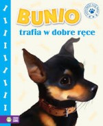 Bunio trafia w dobre ręce