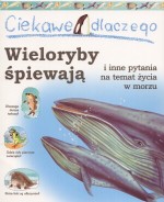 Ciekawe dlaczego wieloryby śpiewają i inne pytania na temat życia w morzu