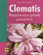 Clematis. Najpiekniejsze gatunki powojników