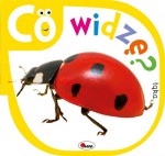 Co widzę? Łąka