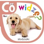 Co widzę słodziaki