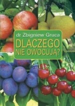 Dlaczego nie owocują