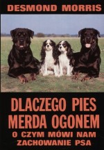 Dlaczego pies merda ogonem