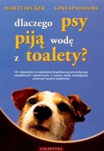 Dlaczego psy piją wodę z toalety?