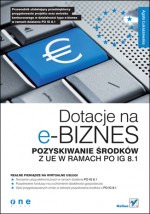 Dotacje na E-Biznes - pozyskiwanie środków z UE w ramach IG 8.1