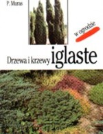 Drzewa i krzewy iglaste w ogrodzie