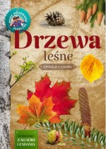 Drzewa leśne. Młody obserwator przyrody