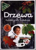 Drzewa naszych lasów, część 2