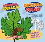 Drzewa Polski. Kolorowanka edukacyjna