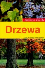 Drzewa. Spotkania z przyrodą