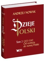 Dzieje Polski. Tom 2. Od rozbicia do nowej Polski