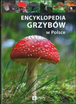 Encyklopedia grzybów w Polsce