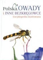 Encyklopedia ilustrowana. Polska. Owady i inne bezkregowce