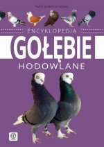 Encyklopedia. Gołębie hodowlane