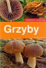 Grzyby. Spotkania z przyrodą