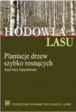 Hodowla lasu. Plantacje drzew szybko rosnących