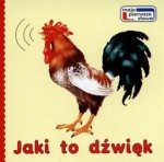 Jaki to dźwięk - Moje pierwsze słowa