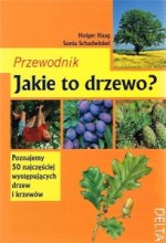 Jakie to drzewo? Przewodnik