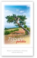 Kalendarz 2013 RW 7 Pejzaże polskie