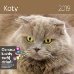 Kalendarz 2019 Koty 30x30