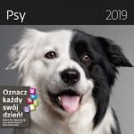 Kalendarz 2019 Psy 30x30