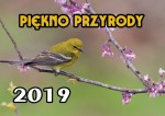 Kalendarz 2019 rodzinny Piękno przyrody KR3