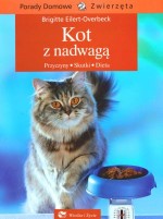 Kot z nadwagą