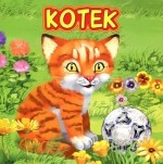 Kotek