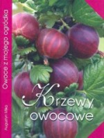 Krzewy owocowe