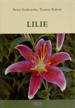 Lilie