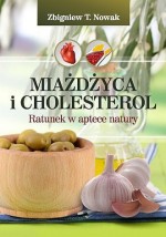 Miażdżyca i cholesterol