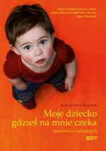 Moje dziecko gdzieś na mnie czeka. Opowieści o adopcjach