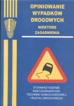 Opiniowanie wypadków drogowych. Niektóre zagadnienia