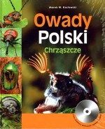 Owady Polski - Chrząszcze