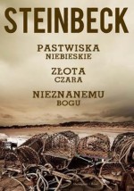 Pastwiska Niebieskie. Złota Czara. Nieznanemu Bogu