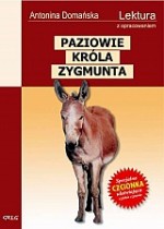 Paziowie króla Zygmunta. Lektura z opracowaniem