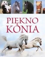 Piękno konia