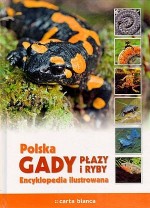 Polska. Gady, płazy i ryby. Encyklopedia ilustrowana